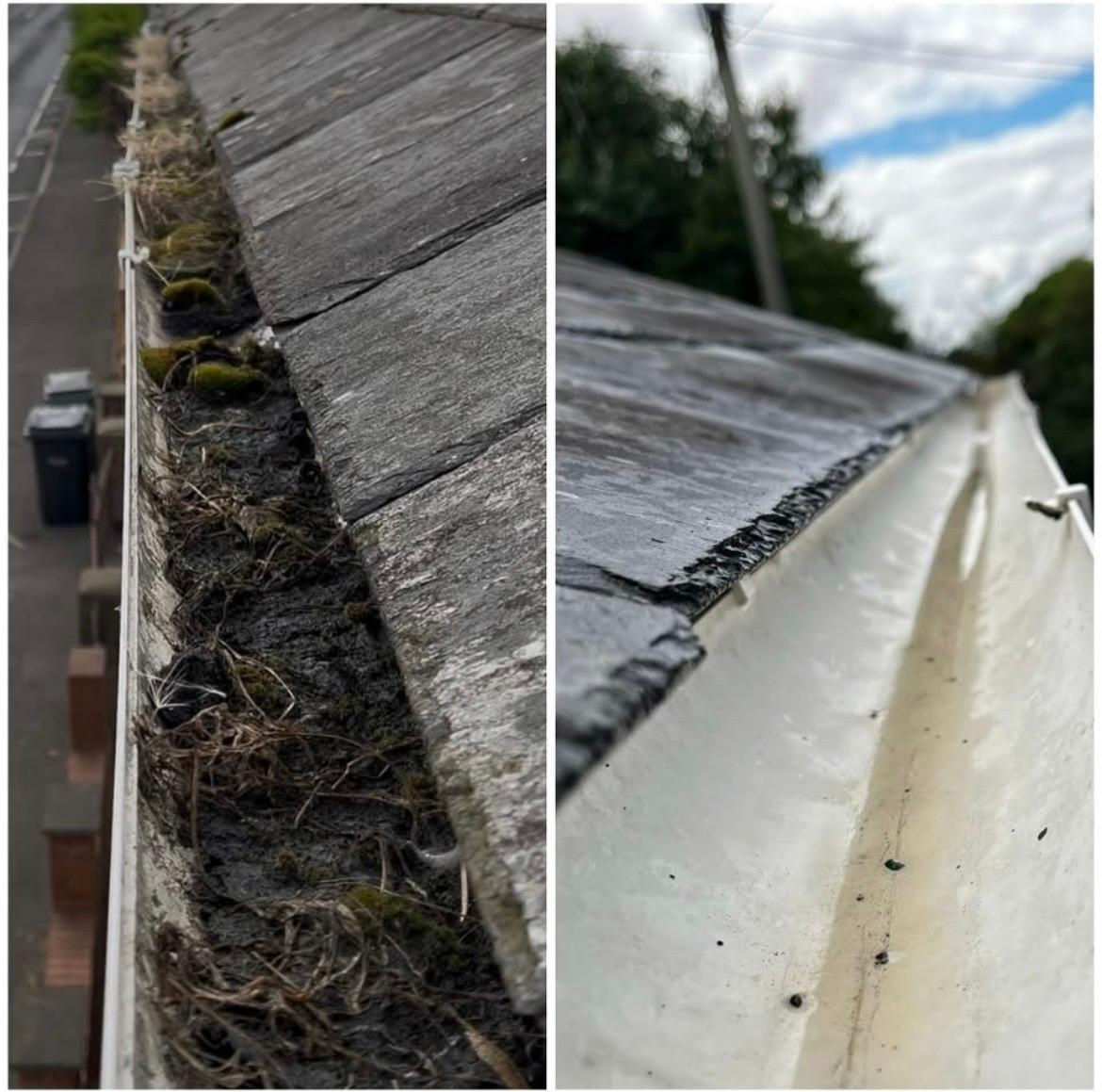 Guttering and Fascia Cleaning